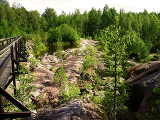 Auf dem Weg zu den Felsritzungen im toten Flussbett des Umemälv